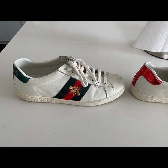 Gucci ace sneakers - Picture 1 of 7